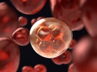 Μετάσταση: Γιατί και πού επιστρέφει ο καρκίνος;