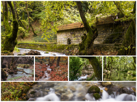 Πλανητέρο: Το σμαραγδένιο χωριό της Αχαΐας