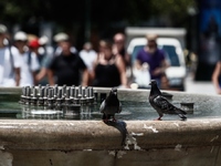 Καύσωνας Κλέων: Επί ποδός ο κρατικός μηχ...