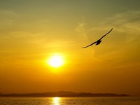 Copernicus: Ο φετινός Ιανουάριος ήταν ο ...