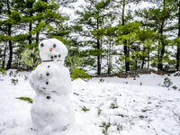 Καιρός: Έκτακτο δελτίο της ΕΜΥ για βροχέ...