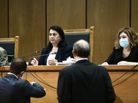 Δικηγόρος οικογένειας Φύσσα: Ανυπόστατα ...