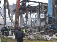 Στο μικροσκόπιο οι άδειες της Βιολάντα