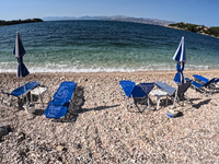 "Κίνημα της πετσέτας": Καταγγε...