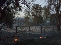 Φωτιά Ζήριας: Ό,τι έμεινε από το ξακουστ...