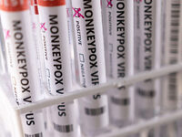 Ευλογιά των πιθήκων: Χαμηλός ο κίνδυνος ...