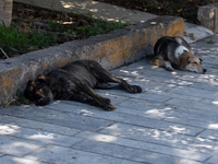 Πανεπιστήμιο Πατρών: Η ανάρτηση για φόλε...