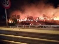 Αχαΐα:  Ελεγχόμενη η φωτιά στην Ροδοδάφν...