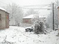 Στην κατάψυξη από την Τετάρτη - Πέφτει ω...