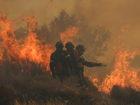 Φωτιά στην Ιεράπετρα: Aναζωπύρωση στις π...