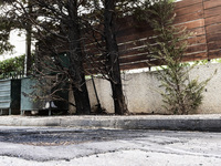 Επίθεση στο σπίτι της προέδρου του Αρείο...