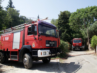 Αιγιάλεια: Αναζωπύρωση στη φωτιά στη Ζήρια