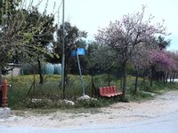 Επίθεση με καυστικό υγρό: «Ακούμε τα βρά...