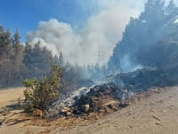 Δείτε από πού φέρεται να ξεκίνησε η φωτι...