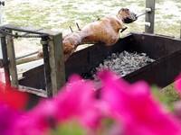 Πάτρα: Μετά τη σκόνη, ο ήλιος- Με τι και...