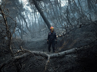 Μαύρισε η Εύβοια - Μάχη με τις αναζωπυρώ...