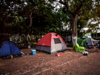 Φοινικούντα: Νέα κατάθεση από τον ανιψιό...