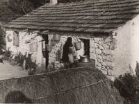 Καθαρά Δευτέρα στην Πάτρα: Τα έθιμα μέσα...