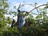 Παρέμβαση του Δήμου για την σωτηρία της ...
