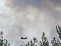 Έβρος: Μάχη για να σωθεί ένα από τα πιο ...