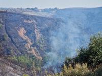 Φωτιά στην Ηλεία: Έφτασαν στα σπίτια οι ...