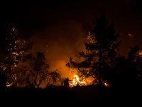 Μεγάλη φωτιά στη Ζάκυνθο- Πνέουν ισχυροί άνεμοι