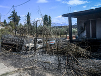 Δήμος Πατρέων: Προθεσμία και διαδικασία ...