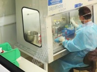 Κορωνοϊός: Ξεπέρασαν τους 778.000 οι θάν...