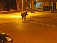 Πάτρα: Ξημερώματα στην Πατρών Κλάους... ...