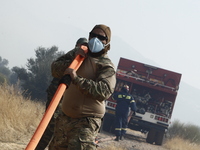 Πυρκαγιά στη Πάρνηθα. (ΣΩΤΗΡΗΣ ΔΗΜΗΤΡΟΠΟ...