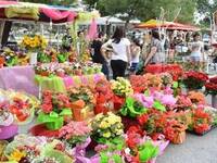 Πάτρα: Ξεκινούν την Παρασκευή 21/4 οι αι...