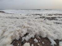 Χανιά: Γέμισε με αφρούς η θάλασσα στην Π...