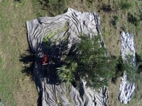 Διαδικτυακή συνάντηση για το έργο Ambitious