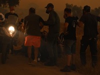 Φωτιά Αλεξανδρούπολη: Δραματικές ώρες- Ε...