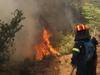 Δεν έχουν σβήσει οι φλόγες στο Φλόκα Αχαΐας