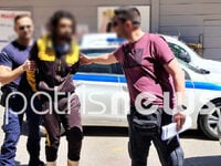 Δολοφονία-Ψάρι: Προφυλακιστέος ο 23χρονο...