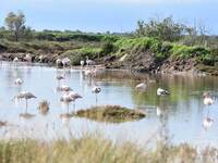 Κάλεσμα για συμμετοχή στην Έκθεση φωτογρ...