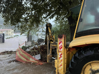 Νεκρός κτηνοτρόφος στον Βόλο που καταπλα...