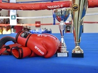 Στην Πάτρα το Πανελλήνιο πρωτάθλημα Πυγμ...