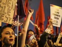 Ο Ερντογάν διέλυσε σε 20 χρόνια τα δικαι...