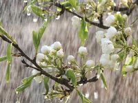 Καιρός : Τοπικές βροχές και σποραδικές κ...