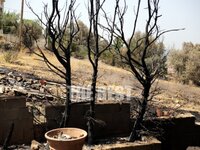 Πώς πήγαν να κάψουν την Πάτρα- Βρήκαν εμ...