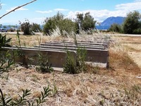 Κοινοτικόν: Το Πλατανόδασος της Πάτρας έ...