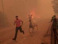 Φωτιά στην Πάρνηθα: Ο Λεωνίδας Ρόδης είν...