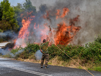 Φωτιές: Νοσηλεύονται 5 τραυματίες- Στο Ν...