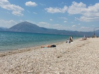 Πάτρα: Τρία δελφίνια έκαναν την εμφάνισή...