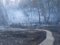 Πόρτες Αχαΐας: Ένας από τους ομορφότερου...