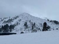 Αχαΐα: Άργησε αλλά ήρθε! Το πρώτο χιόνι στο Χελμό