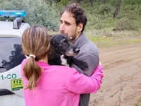 Ισπανία: Σκύλος που αγνοούνταν μετά τη σ...