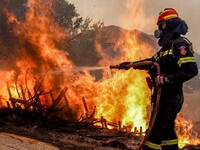 Σε πύρινο κλοιό η χώρα με 53 δασικές πυρ...